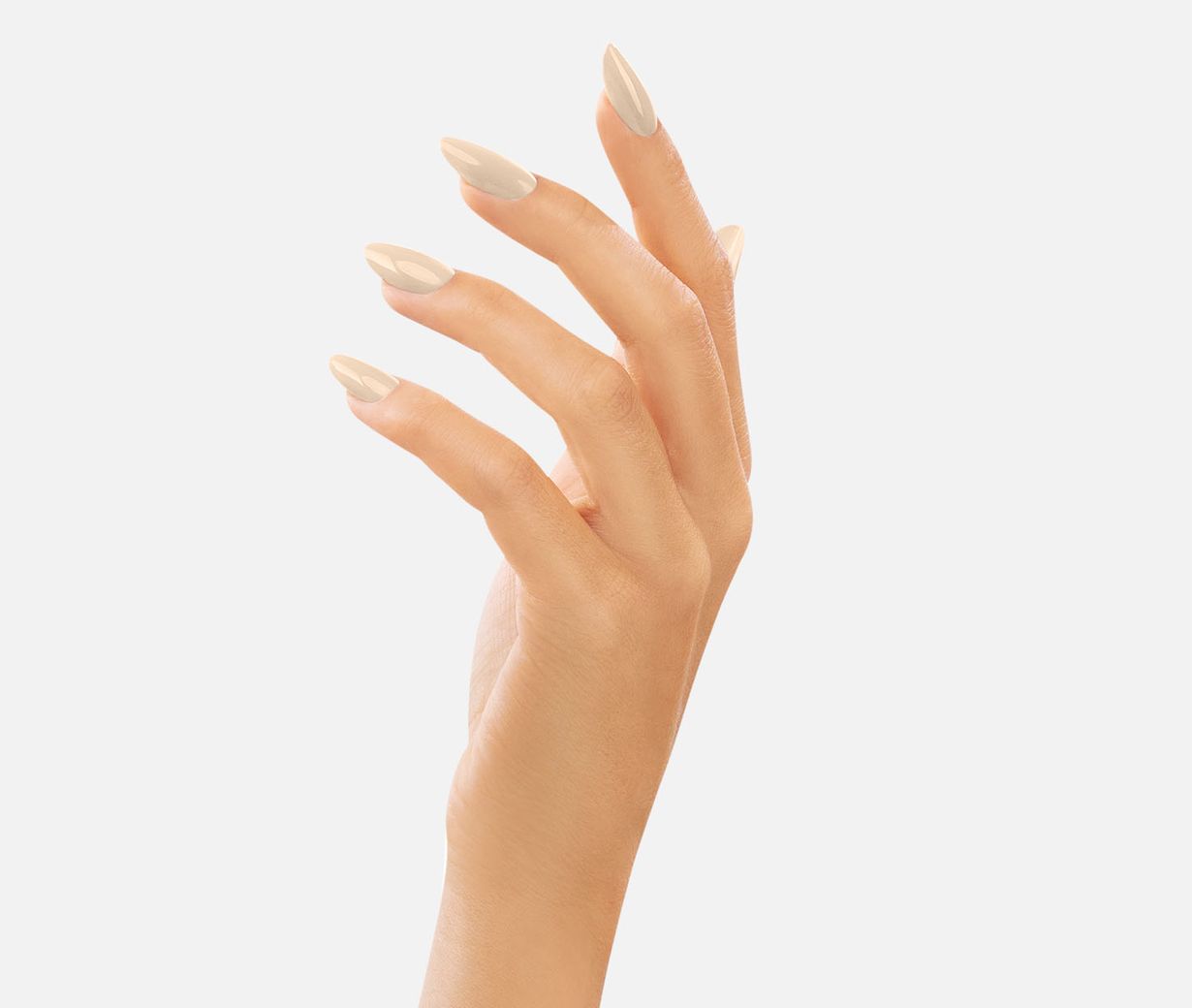GEL POLISH 241 Classic Tiramisu - VICTORIA VYNN