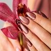 GEL POLISH 407 Hollynude - VICTORIA VYNN